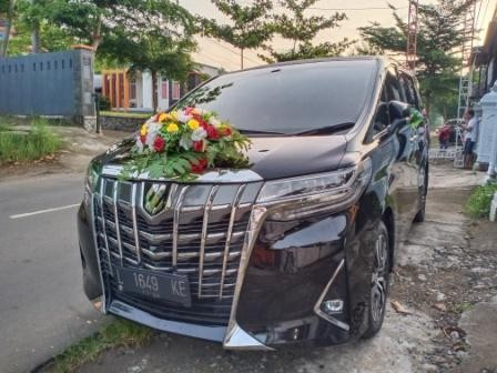 Alphard-2